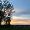 rileywarren392